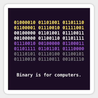 Binary is for Computers Nonbinary Pride Flag Magnet